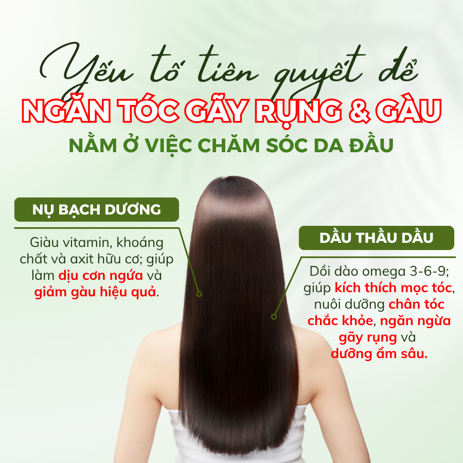 Dầu Xả Nụ Bạch Dương & Thầu Dầu Green Pharmacy 300ml Giúp Ngăn Ngừa Gãy Rụng Và Dưỡng Tóc Suôn Mượt - Ảnh 4