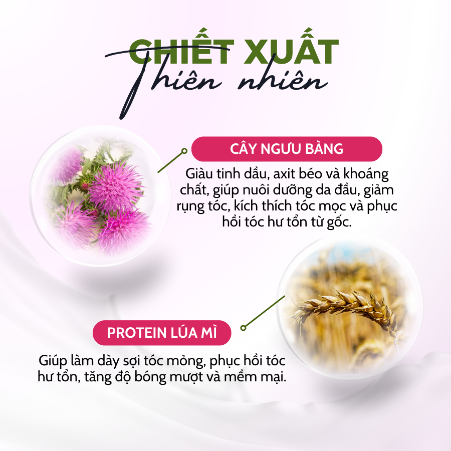 Dầu Xả Green Pharmacy Cây Ngưu Bàng & Protein Lúa Mì Hỗ Trợ Mọc Tóc Và Phục Hồi Tóc Yếu 300ml - Ảnh 3