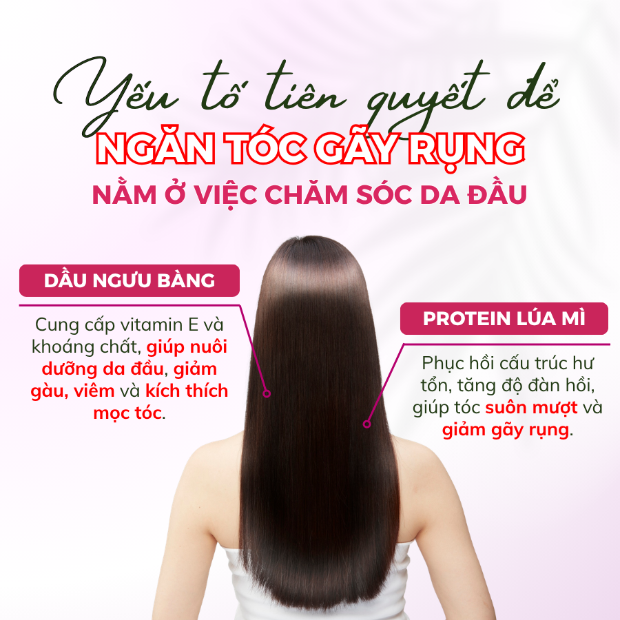 Dầu Xả Green Pharmacy Cây Ngưu Bàng & Protein Lúa Mì Hỗ Trợ Mọc Tóc Và Phục Hồi Tóc Yếu 300ml - Ảnh 4