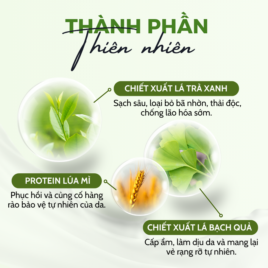 Sữa rửa mặt cho da dầu mụn với chiết xuất trà xanh và lá bạch quả