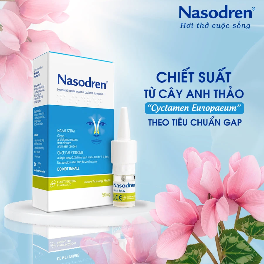 Dung dịch xịt mũi Nasodren 50mg - Ảnh 2