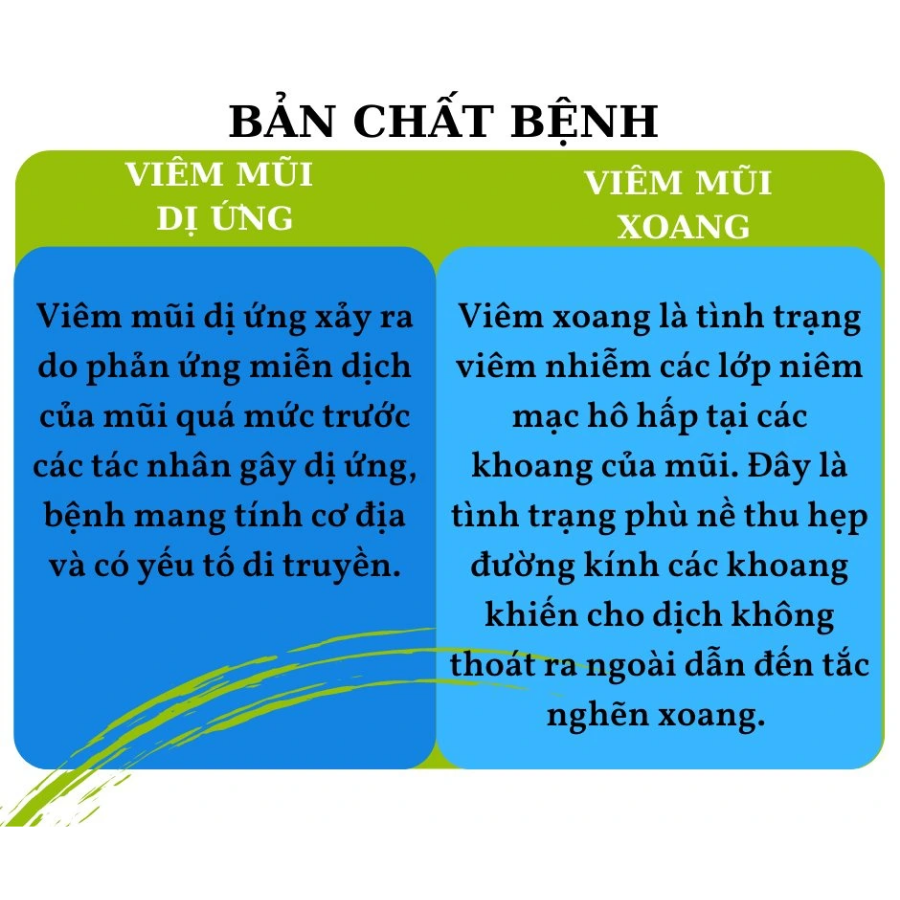 Dung dịch xịt mũi Nasodren 50mg - Ảnh 5